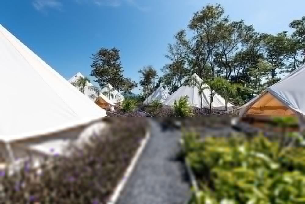 Roost Glamping