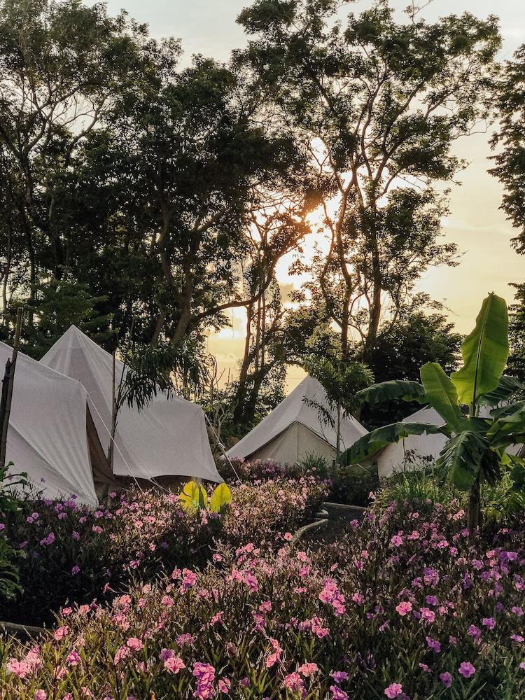 Hotel Roost Glamping Phuket